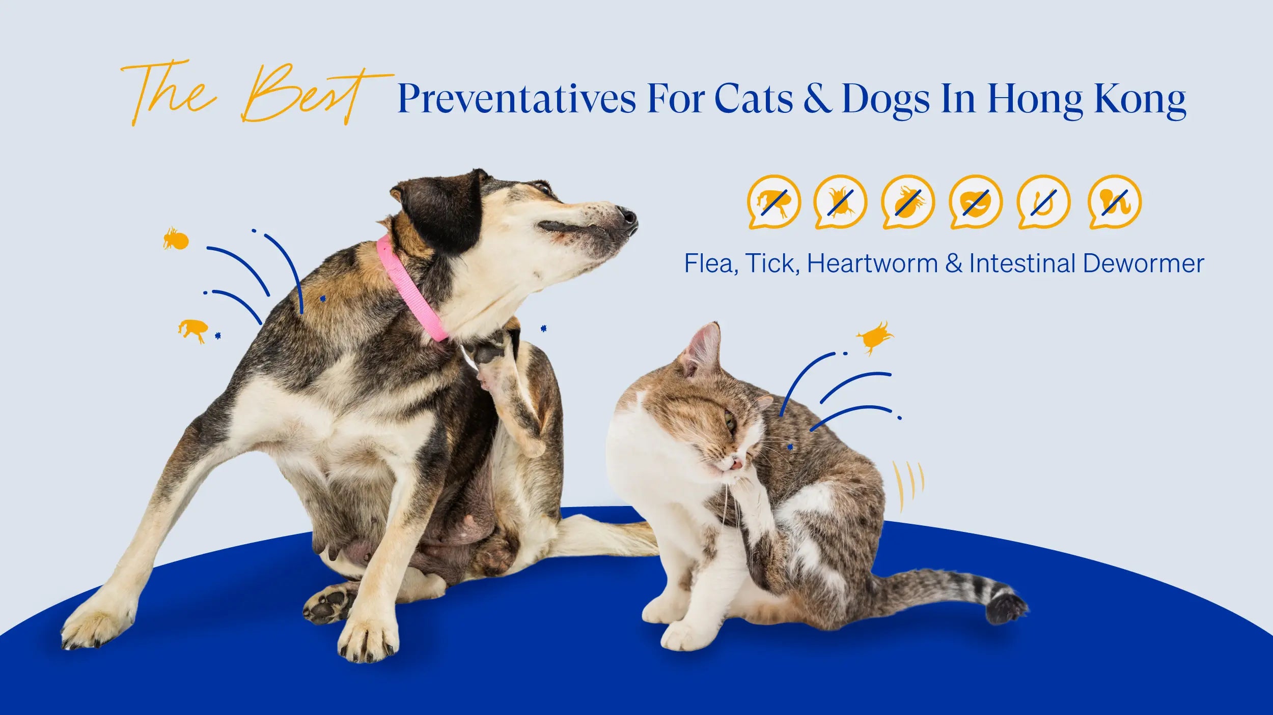 The Best Flea, Tick & Heartworm Preventatives for Pets
