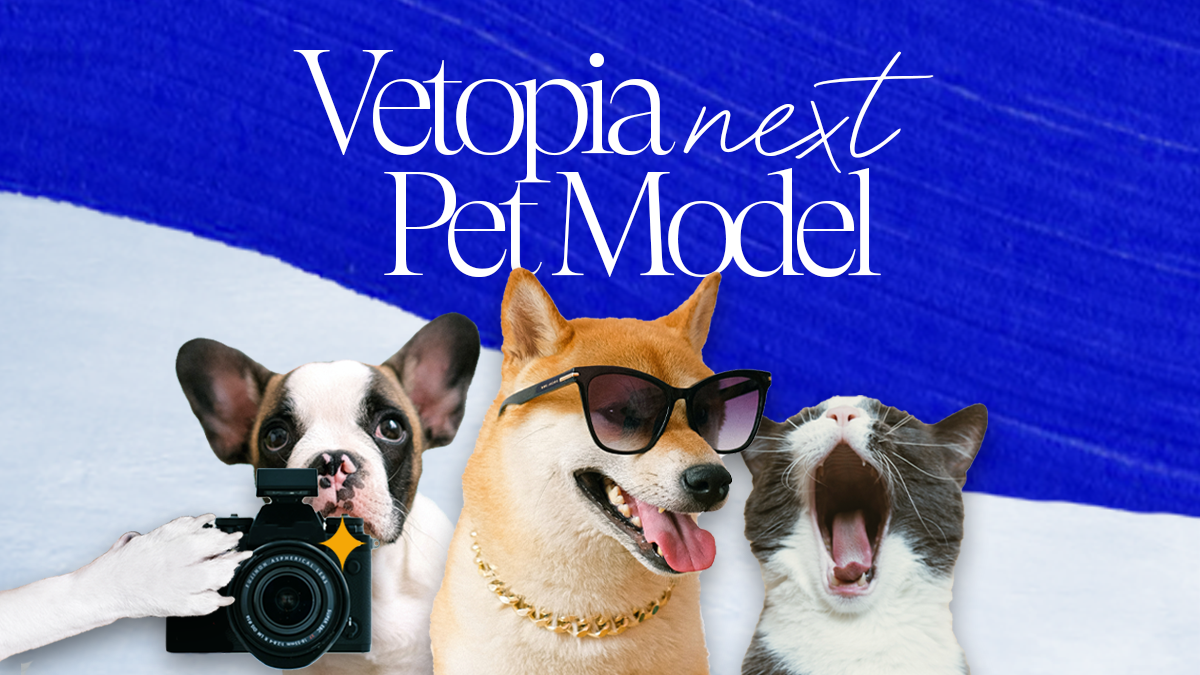 Hong Kong Next Pet Model Wanted!