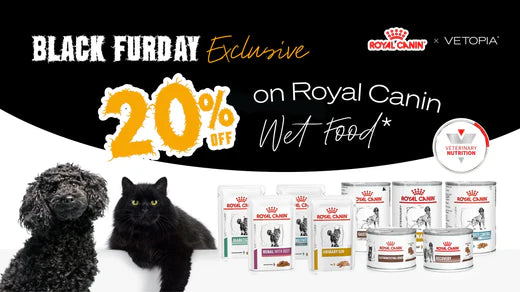 Black Furday Sale Alert: 20% Discount on Royal Canin Wet Food!