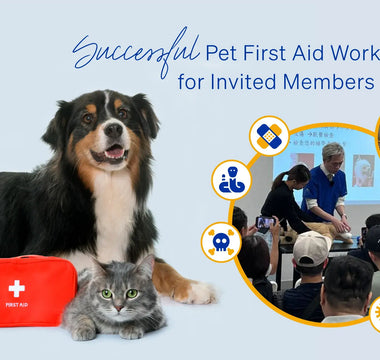 Successful Pet First Aid Workshop for Invited Members