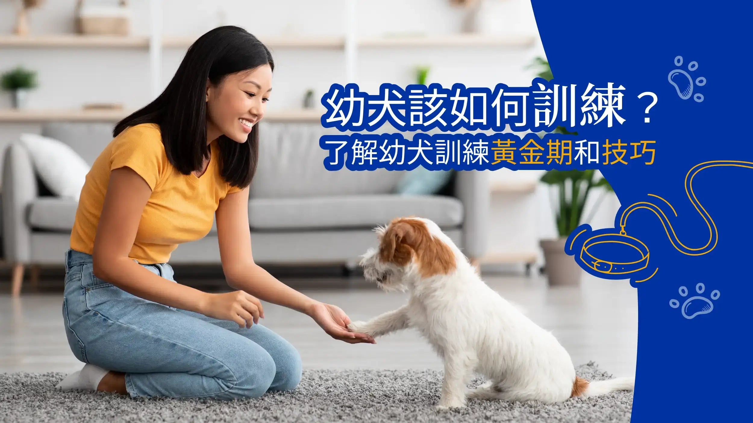 幼犬該如何訓練？了解幼犬訓練黃金期和技巧