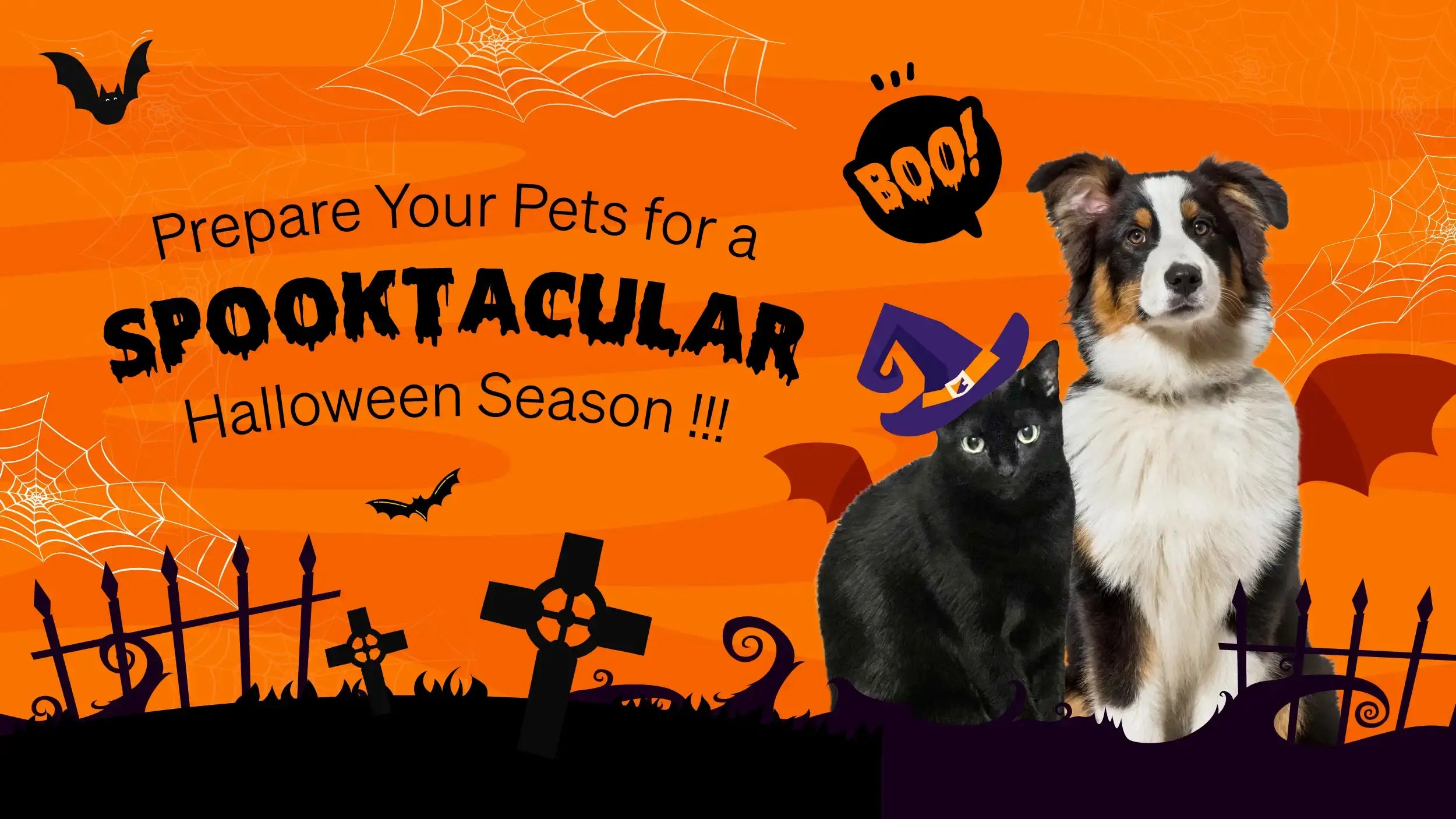 How to Prepare Your Pets for a Spooktacular Halloween Season