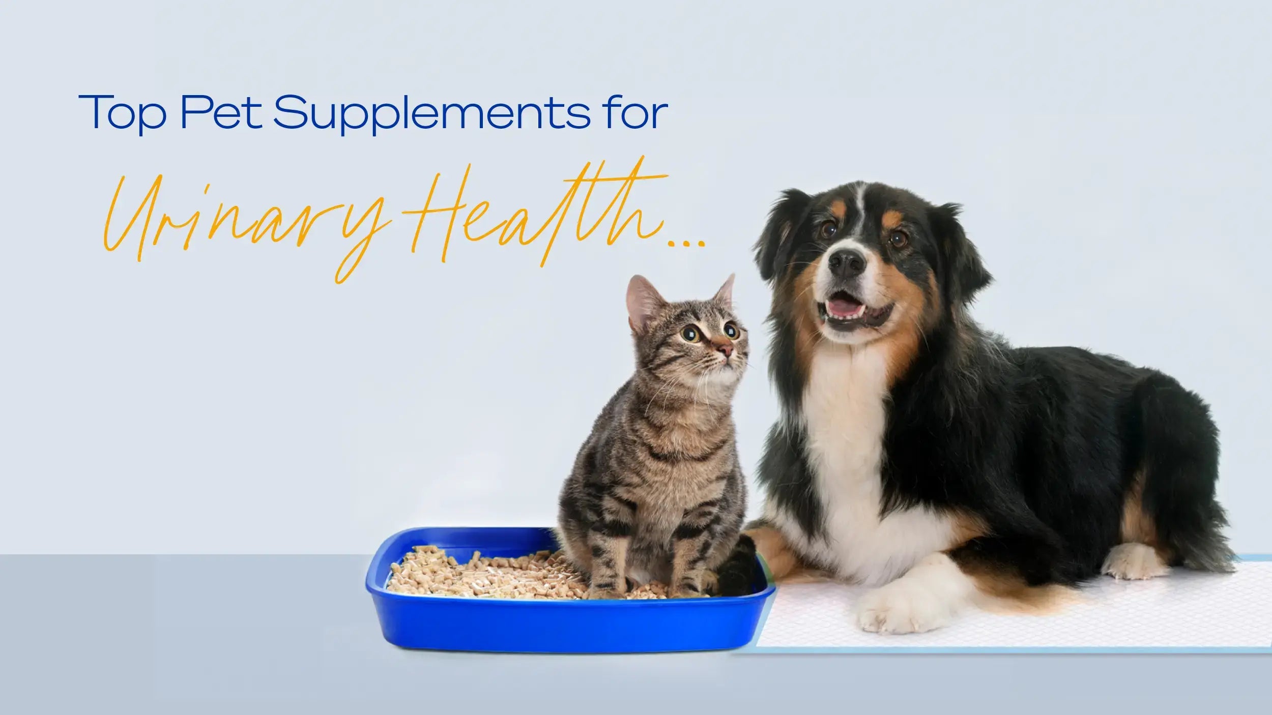 Pee-lease and Thank You... Top Supplements for Pet Urinary Health