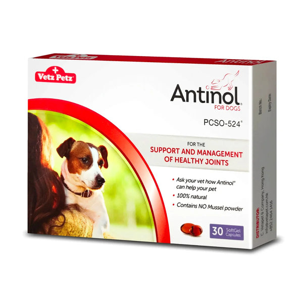 為犬隻而設的Antinol® | 犬用關節補健品| Vetopia 獸醫網上商店