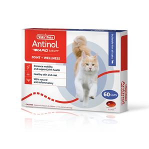 Antinol RAPID Soft Gel Capsule (Joint Supplement for Cats)