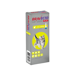 Bravecto Plus | Spot-On For Cats | Vetopia