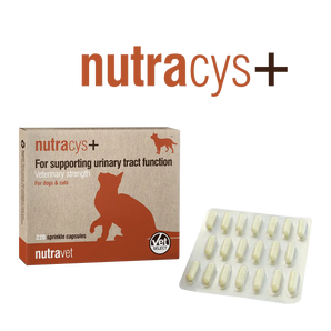 Nutravet - Nutracys+ 泌尿道功能營養膠囊 (貓狗合用) 220 粒