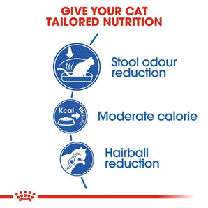 Royal Canin - Home Life Indoor Cat Dry Food