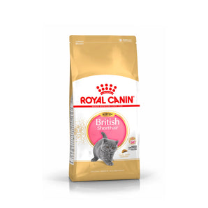 Royal Canin - Kitten British Shorthair Dry Food