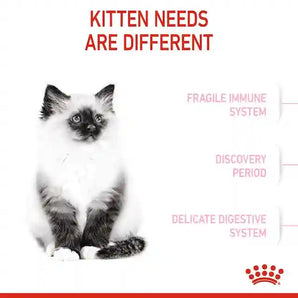 Royal Canin - Kitten Dry Food (up to 12 months old)