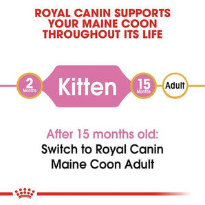 Royal Canin - Kitten Maine Coon Dry Food 10kg