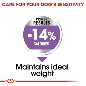 Royal Canin - Mini Sterilised Dog Dry Food