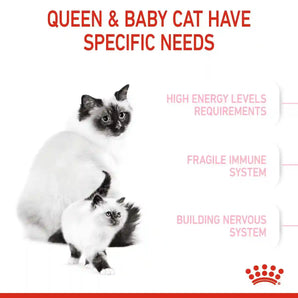 Royal Canin - Mother & Babycat Dry Food (1-4 Months)