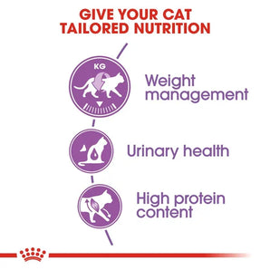 Royal Canin - Regular Sterilised Cat Dry Food