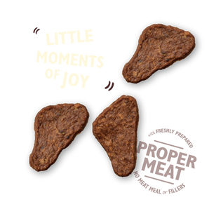 Lily's Kitchen - The Mighty Duck Mini Jerky 70g