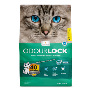 Intersand - ODOURLOCK ULTRA PREMIUM Cat Litter 12kg (Scented)