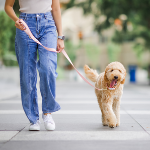 Gentle Pup - Dog Leash - Camelia