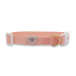 Gentle Pup - Dog Collar - Camelia