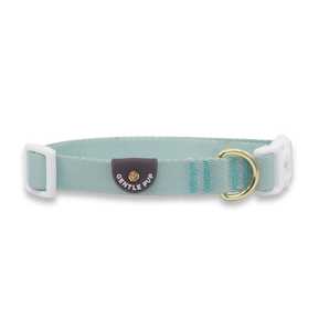 Gentle Pup - Dog Collar - Pistachio