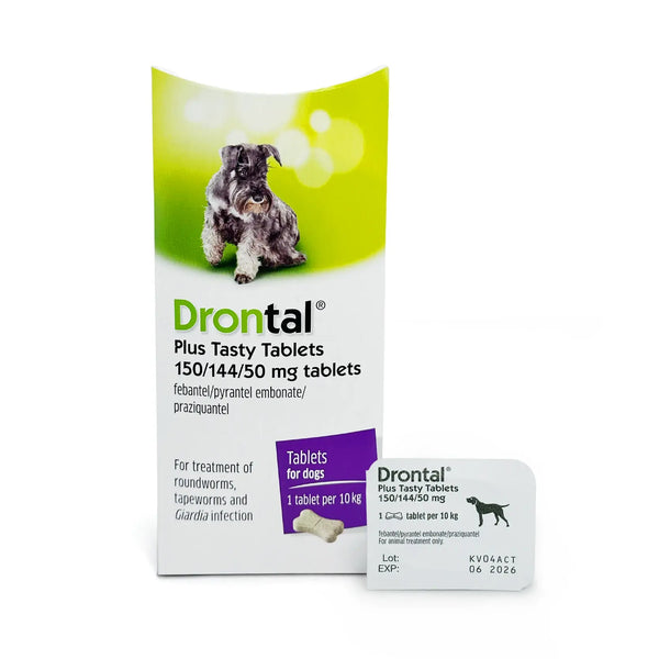 Prazpyrfeb drontal store plus for dogs