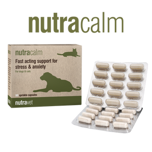 Nutravet | Nutracalm - Stress & Anxiety Pet Supplement | Vetopia