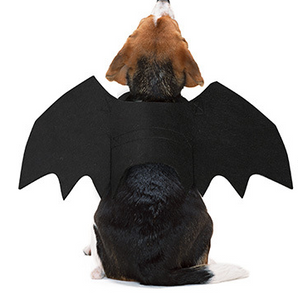 Vetopia Costume - Bat Black Wing (Dog)