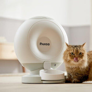 Pawbo Crunchy Smart Pet Feeder