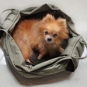 Lambwolf - OLLA Petite Pet Carrycot (Fern)