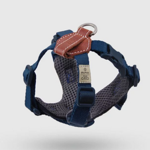 SPUTNIK - Harness - Blue