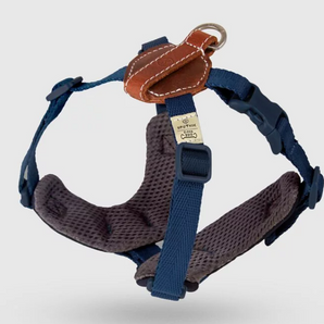 SPUTNIK - Harness - Blue